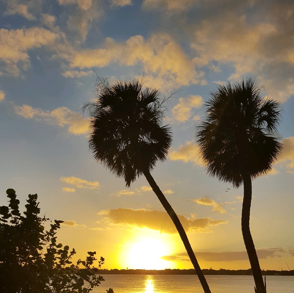 Meet your Posher, Madet